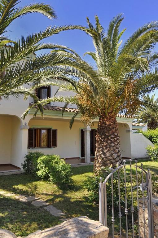 Iss Travel, Ambra Apartments - 800 M From La Cinta Beach San Teodoro  Bagian luar foto